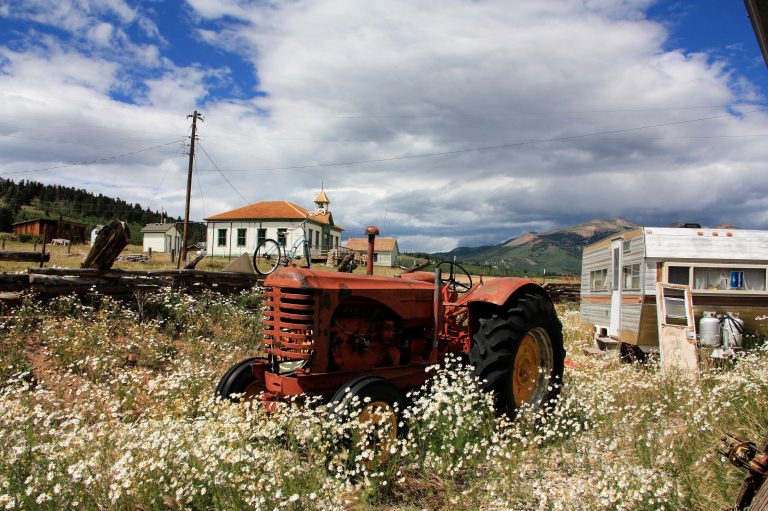 Old rusty tractor surrounded by wildflowers