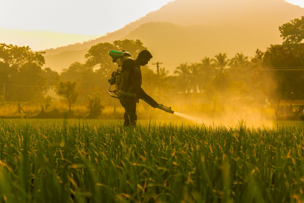 Farmer spraying pesticides in field
