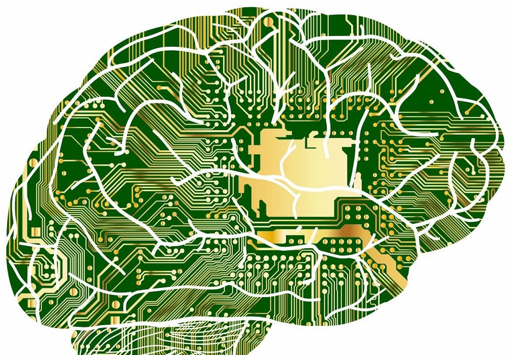 Green brain as computer circuit board