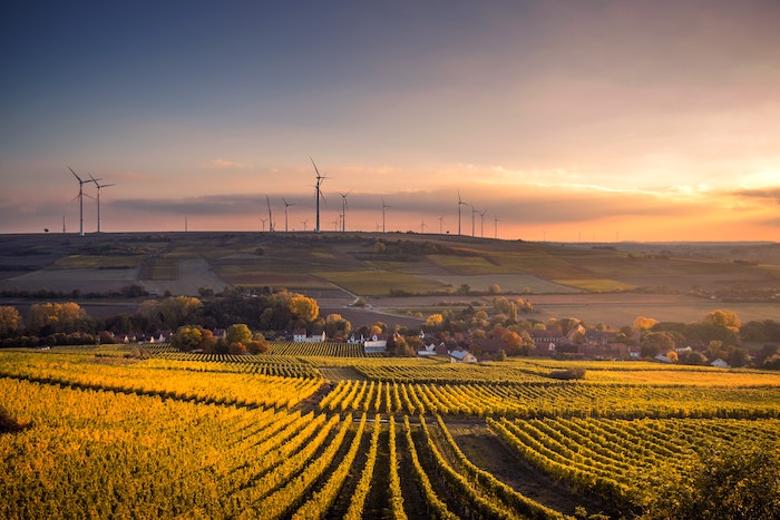 Farm landscape with wind turbines