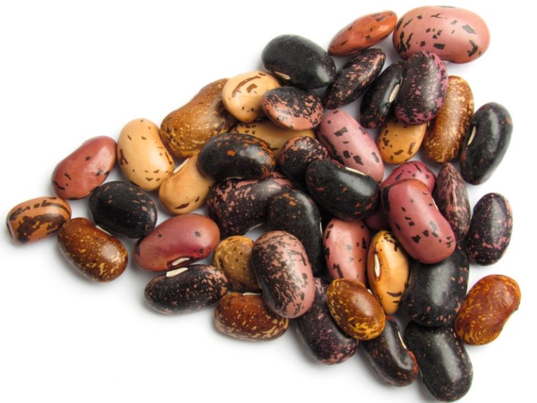 Bean varieties in triangle shape