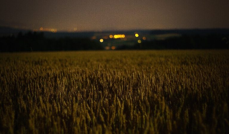 field with lights on horizon
