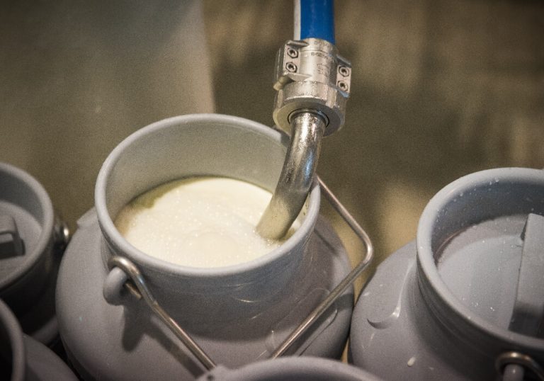 Milk can on farm