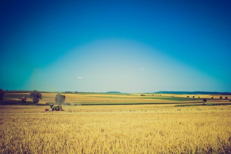 Agricultural landscape