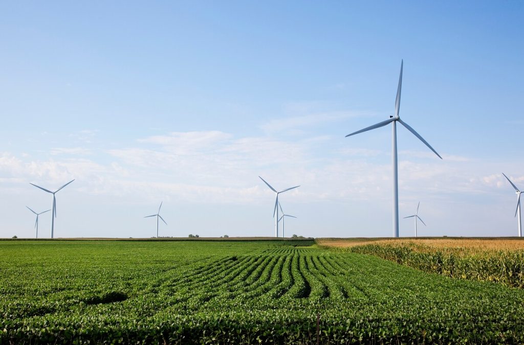 Farm field with wind turbines
