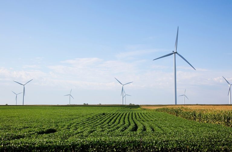 Farm field with wind turbines