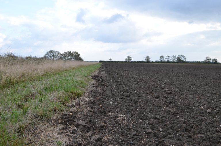 UK farm field soil