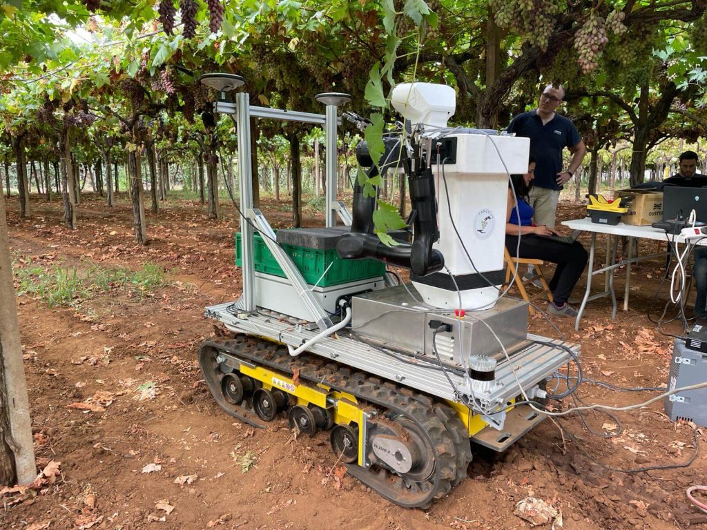 Robot in Italian vineyard