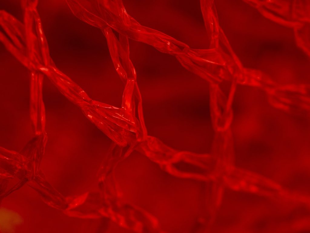 Close up red netting