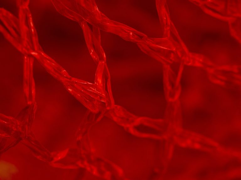 Close up red netting