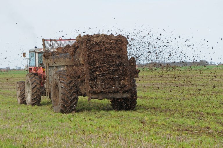 Tractor spreading manure on field