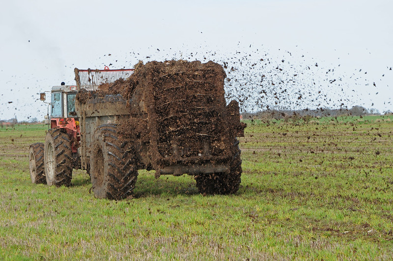 Tractor spreading manure on field