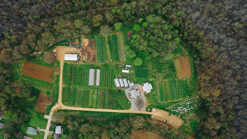 Aerial view of farm
