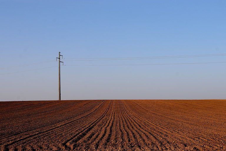 farm, field, electricity pole