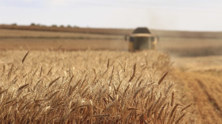 Blurred farm machinery in wheat field
