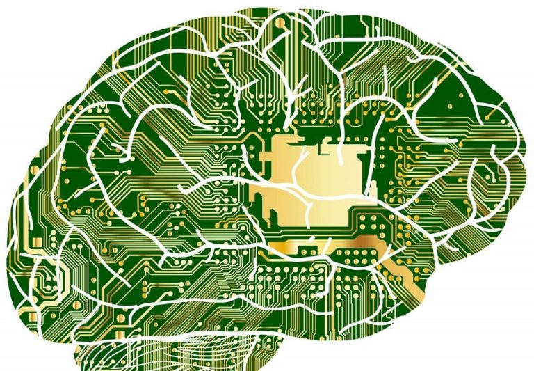 Green brain as computer circuit board