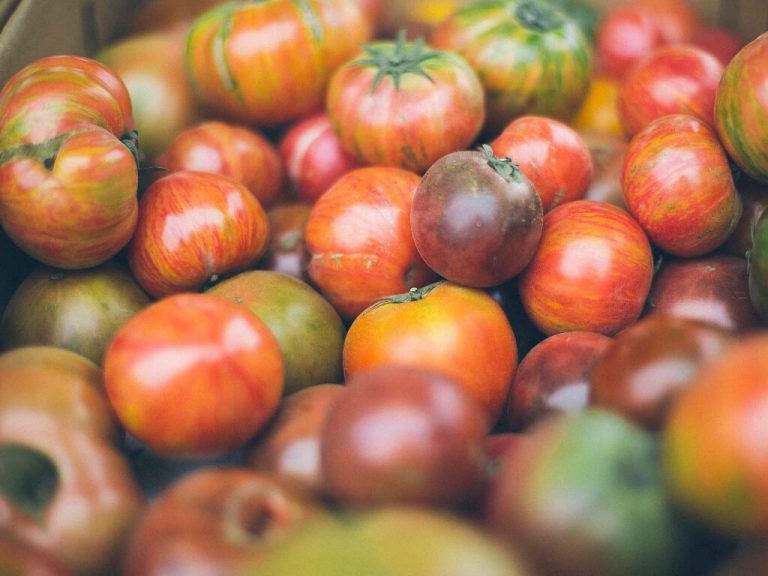 Tomatoes of different colours