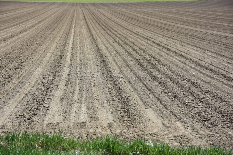 Soil erosion on farm