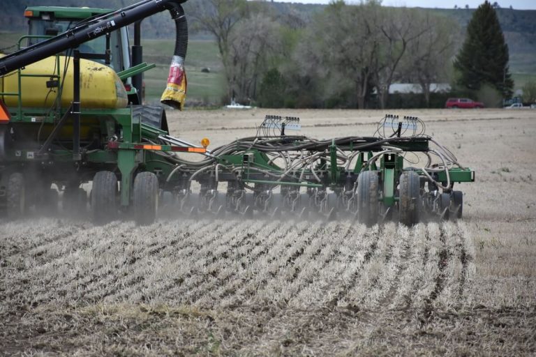Drilling seeds on no-till farm