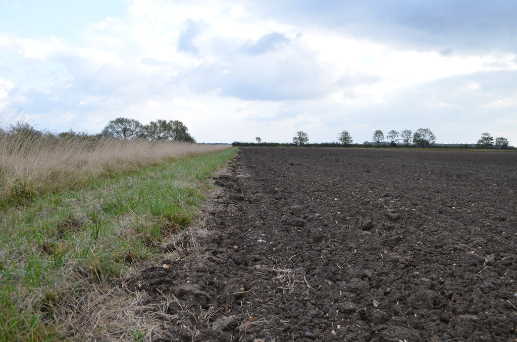 UK farm field soil