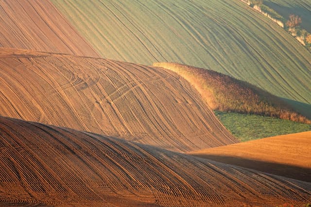 Undulating farm fields