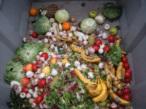 waste vegetables